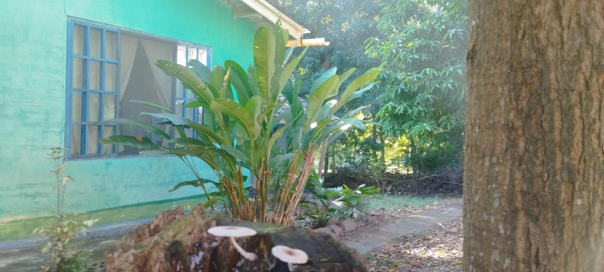 Hostal Juan Lindo San Pedro Sula Exterior photo